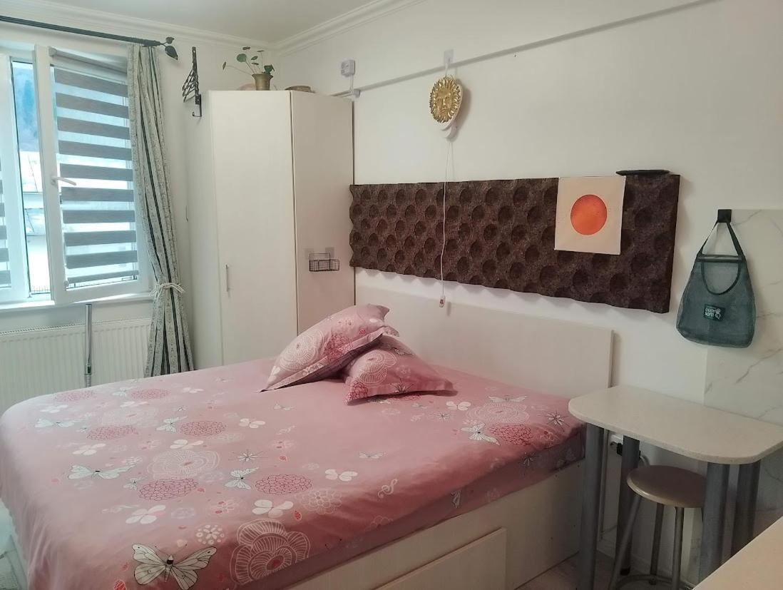 1 Small Studio, Central, Self Check In Sinaia Kültér fotó